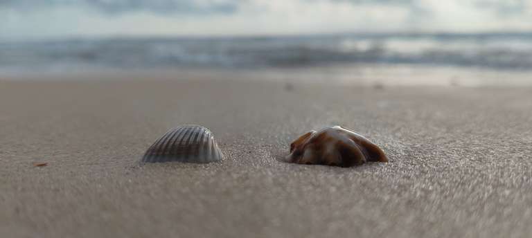 Oh boy! Your net is slow.