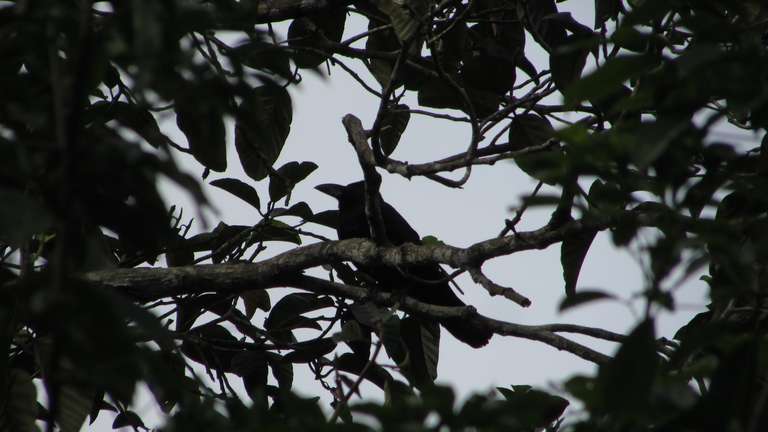 Oh boy! Your net is slow.